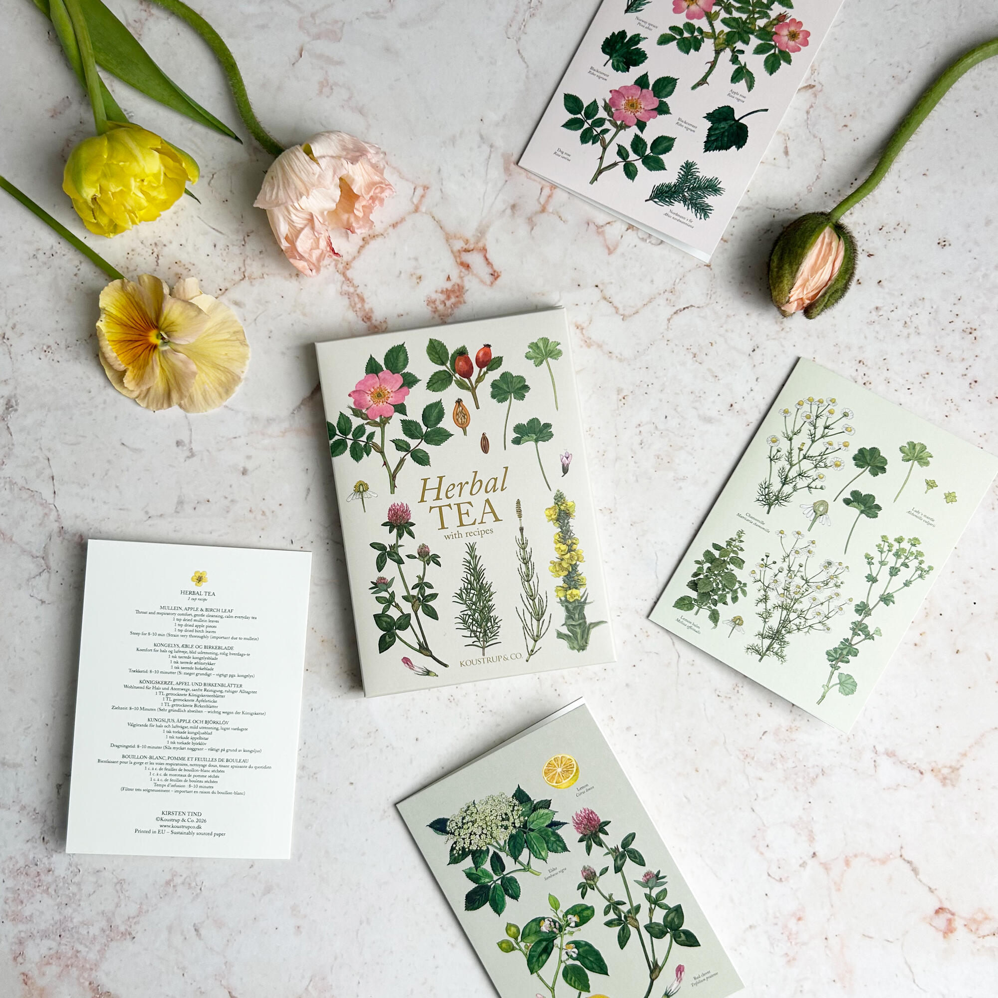 46789532 2080612028628417 1436206844392505344 N